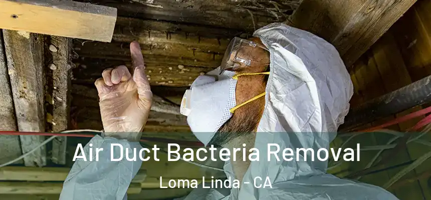  Air Duct Bacteria Removal Loma Linda - CA