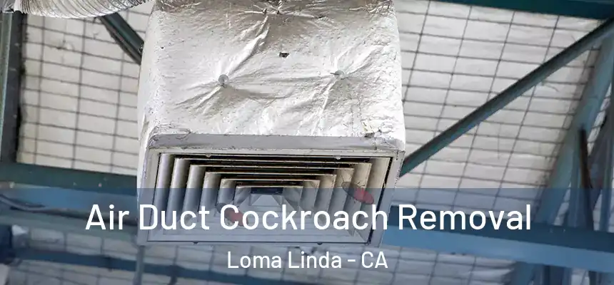  Air Duct Cockroach Removal Loma Linda - CA