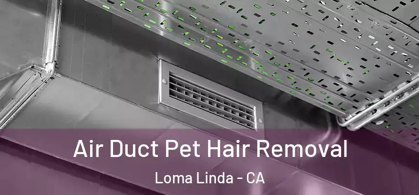  Air Duct Pet Hair Removal Loma Linda - CA