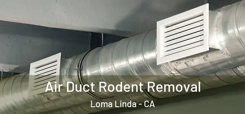 Air Duct Rodent Removal Loma Linda - CA