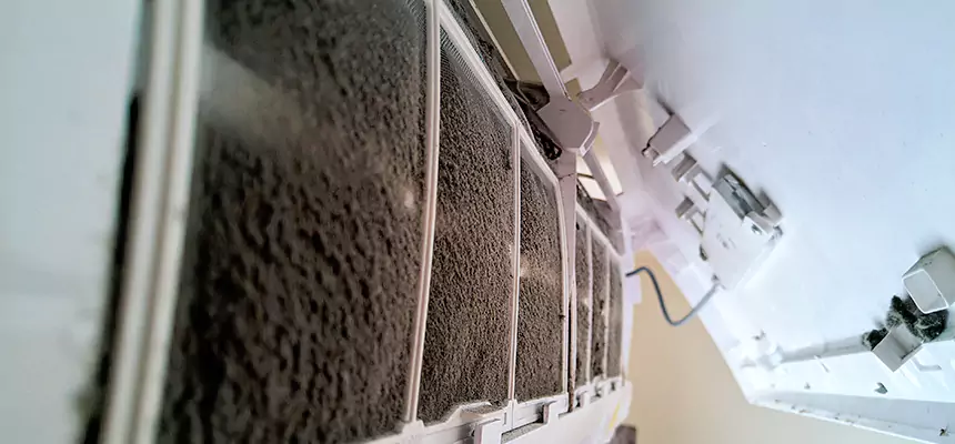 Preventive Air Duct Bacteria Removal in Loma Linda