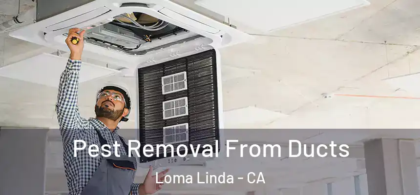  Pest Removal From Ducts Loma Linda - CA