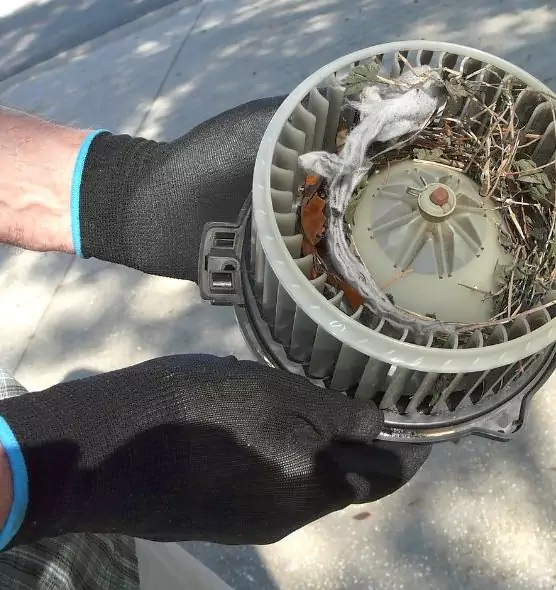 About Air Duct Mice Removal in Loma Linda, CA