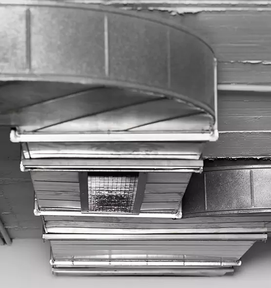 Professional Air Duct Pet Hair Removal in Loma Linda, CA