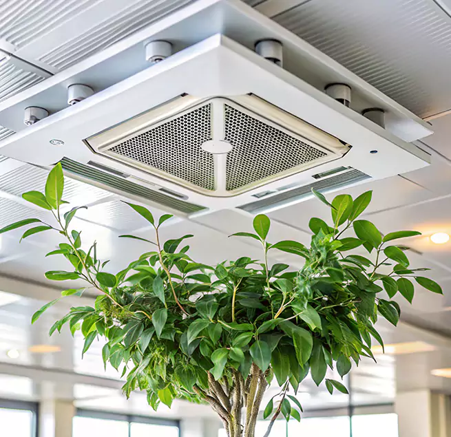 Why Homeowners & Businesses Trust Us in Loma Linda, CA