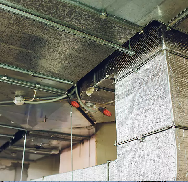 Why Homeowners & Businesses Trust Us Loma Linda, CA?