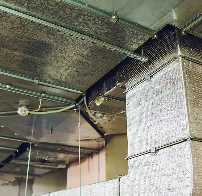 Why Homeowners & Businesses Trust Us in Loma Linda, CA?